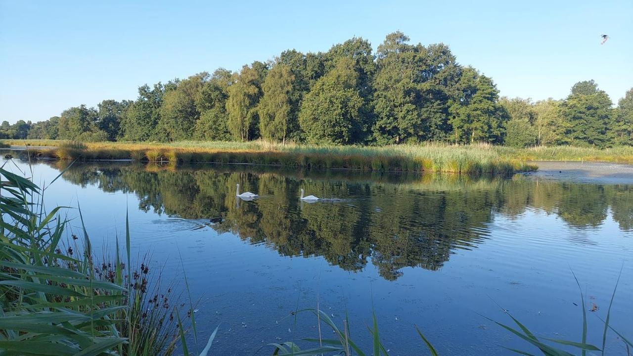 Helle Ferienwohnung In Nettetal Bei Venlo Esterno foto